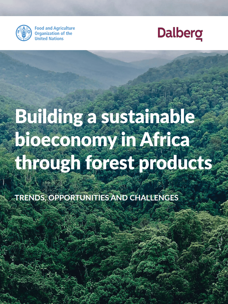 Report title against a photo of a dense tropical forest