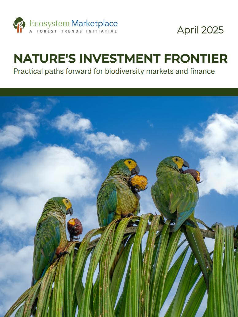 Report title on top of an image of macaws perched on a palm leaf
